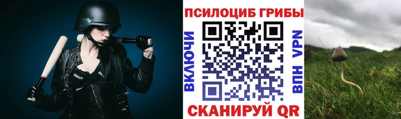 маркетплейс как зайти Макаров Псилоцибиновые грибы MAGIC MUSHROOMS
